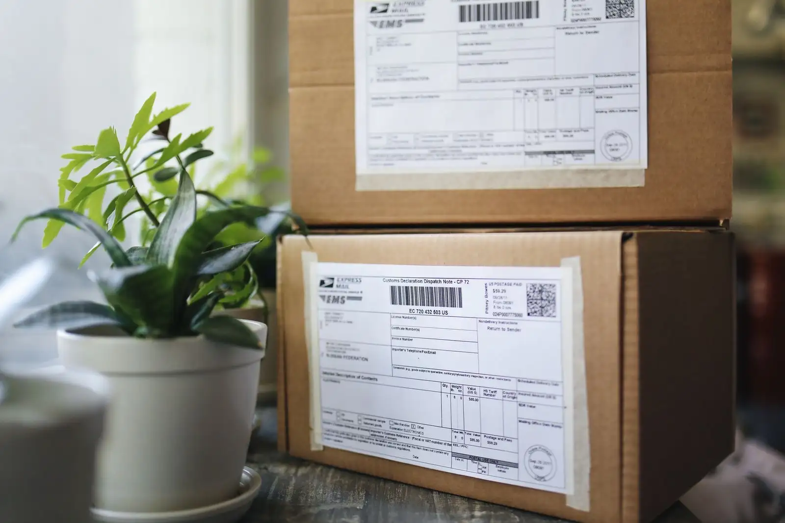 Dos paquetes de cartón con declaración de aduanas, junto a una planta verde