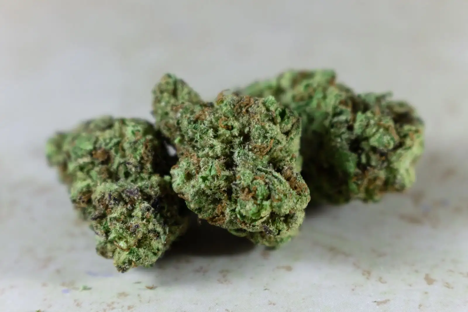 Flores de CBD: por qué se anuló la prohibición de 2021
