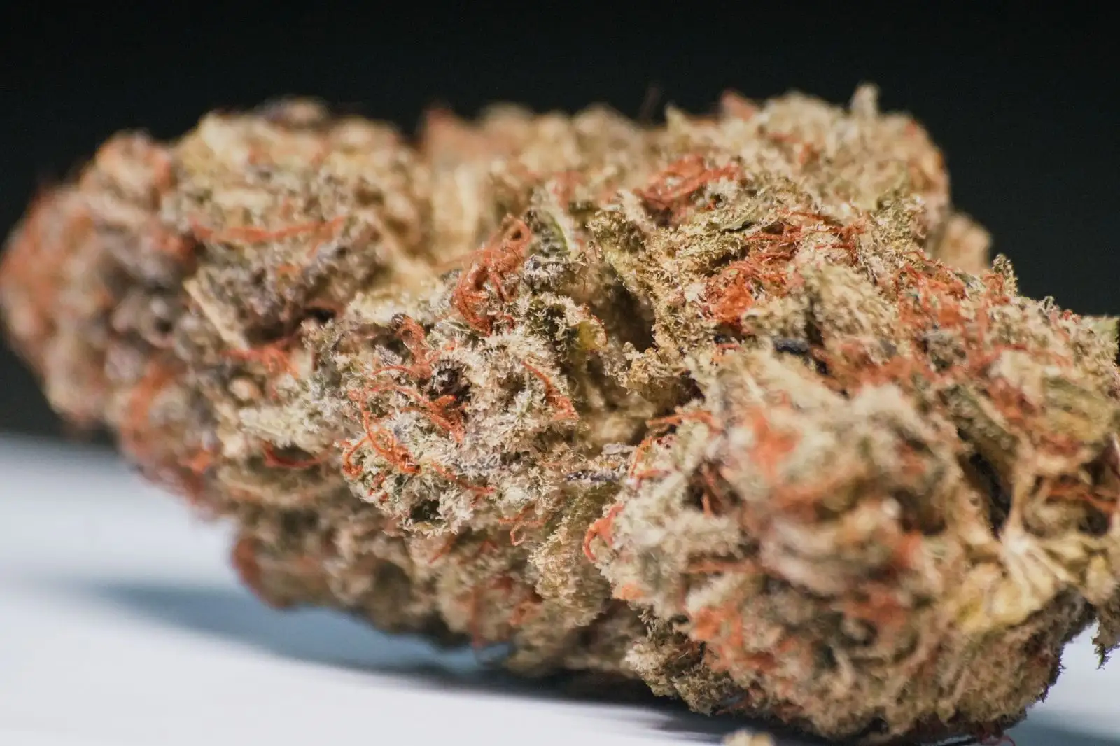 Banana Kush CBD: ¿de dónde viene su olor a plátano?