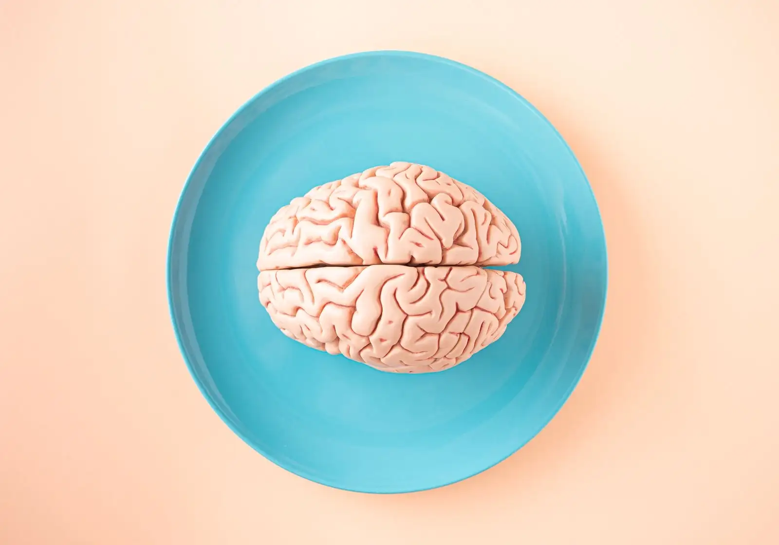 Modelo anatómico de un cerebro humano sobre un plato azul, visto desde arriba