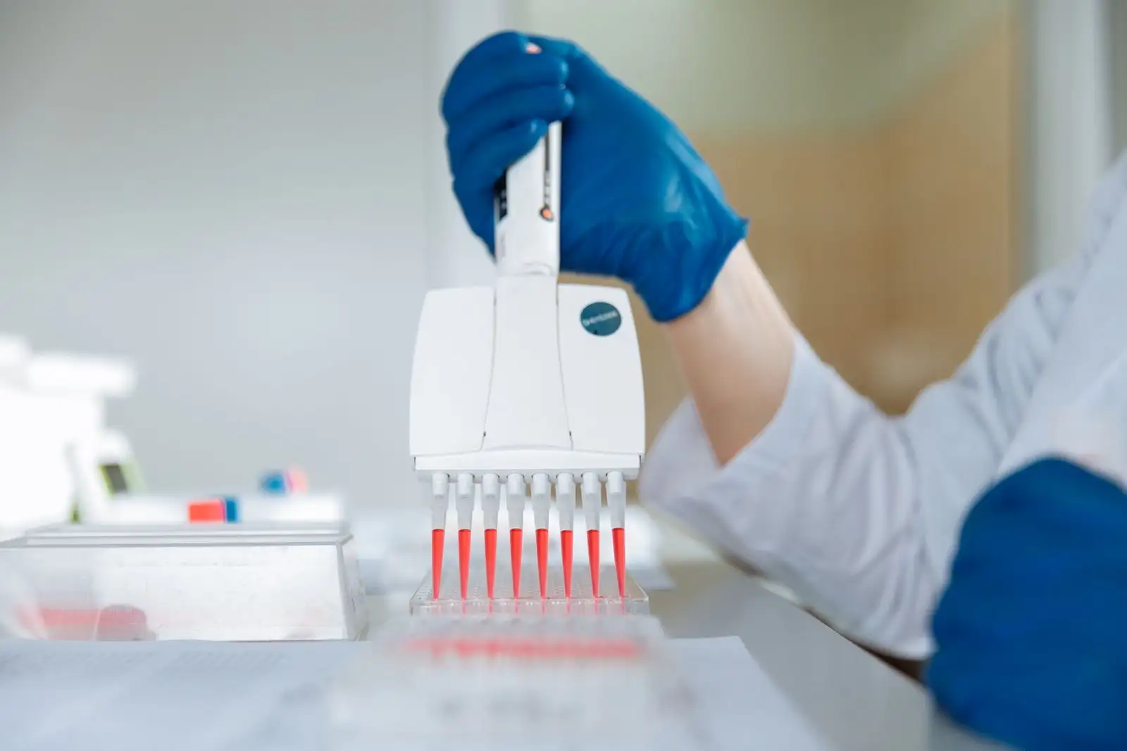 Técnica de laboratorio con guantes llenando una placa de muestras con una pipeta multicanal