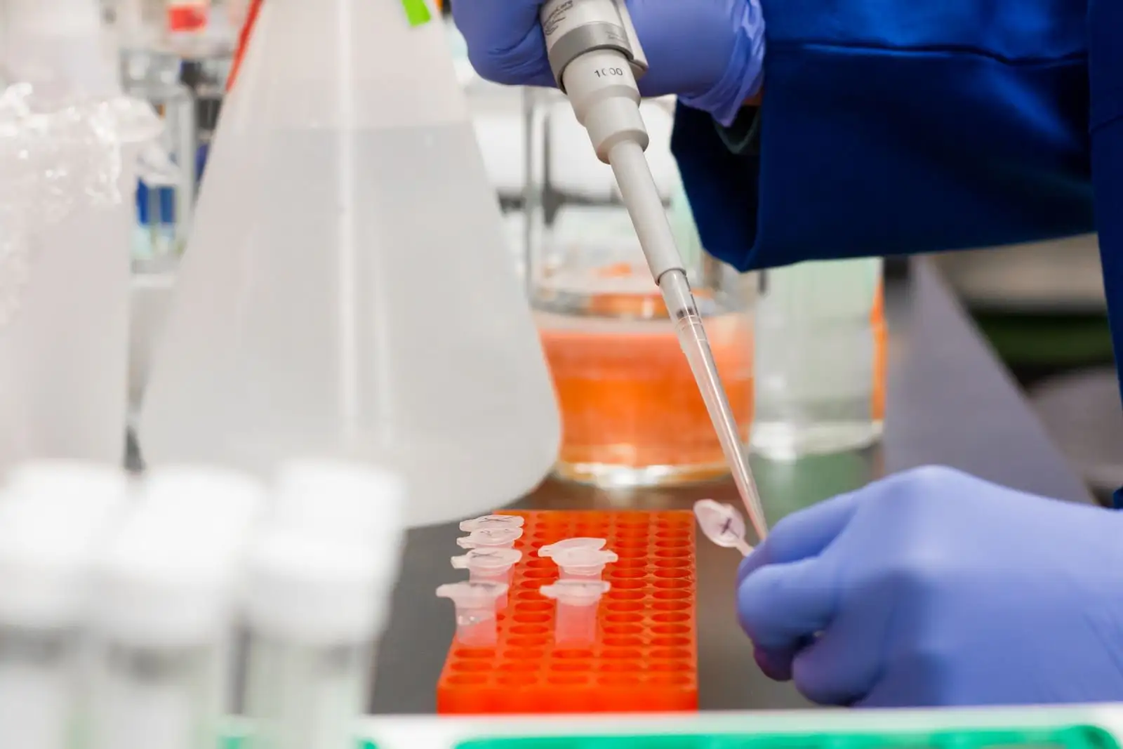 Pipeta de laboratorio depositando una muestra en microtubos colocados en una gradilla naranja