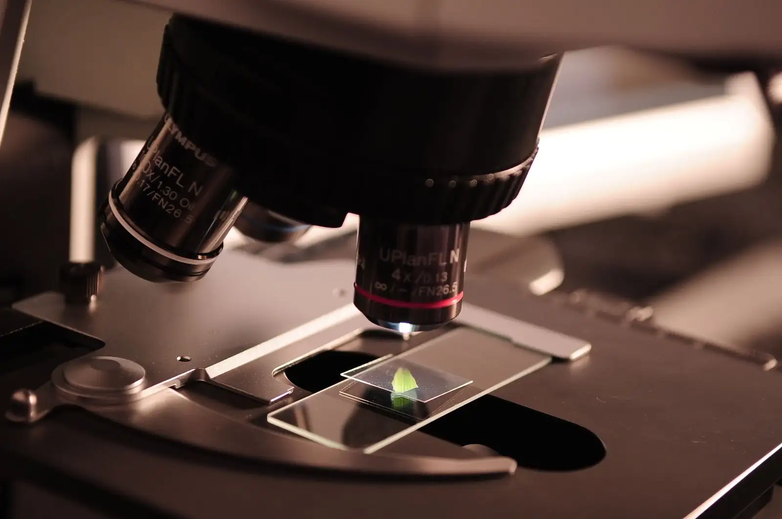 Objetivos de un microscopio de laboratorio sobre un portaobjetos con muestra