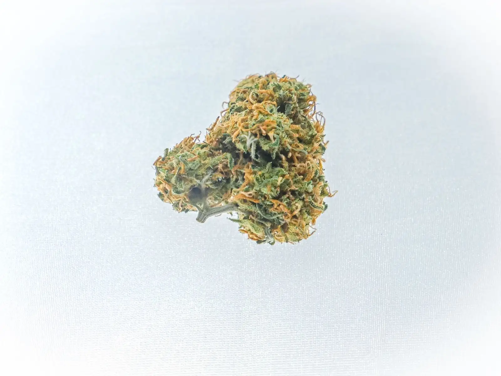 CBD vs CBN: uno viene de la planta, otro del THC envejecido