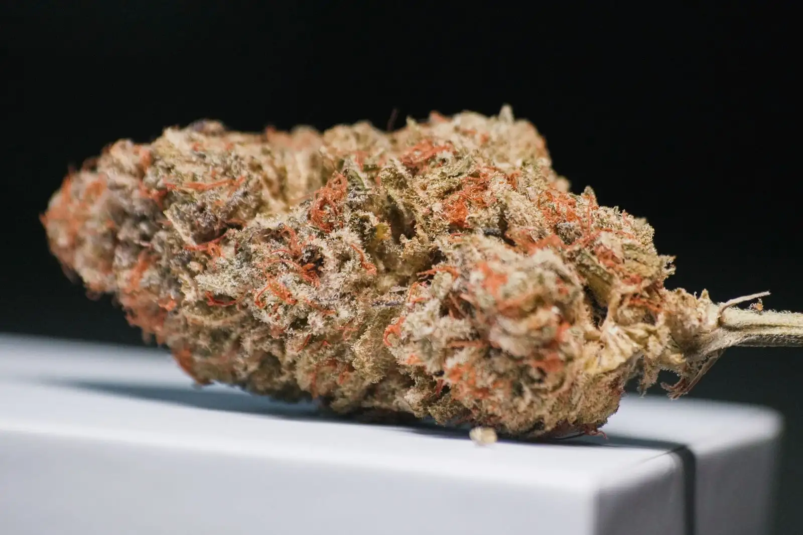CBG (cannabigerol): definición de la molécula madre del CBD
