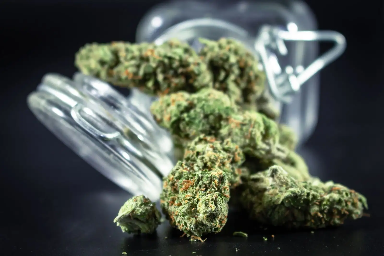 Flor de CBD potente: 72 niveles, el precio no los sigue