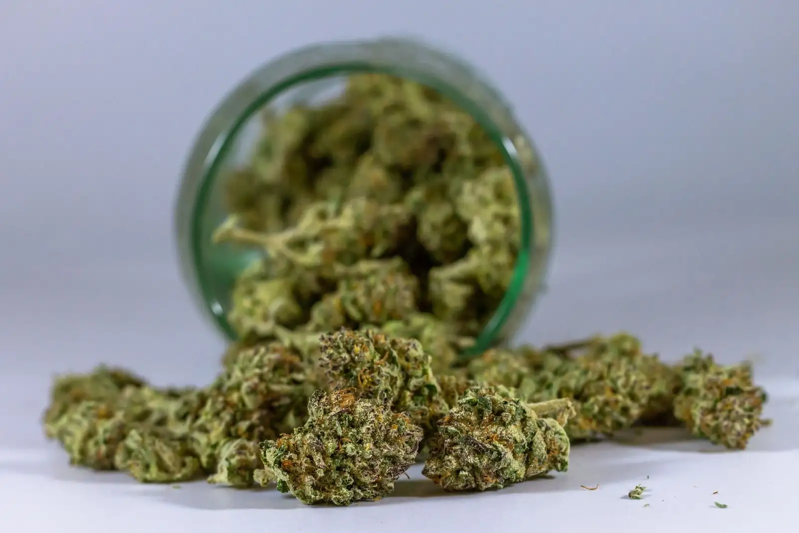 Flores de CBD por 100 g: 0,99 €/g, pero no el CBD más barato