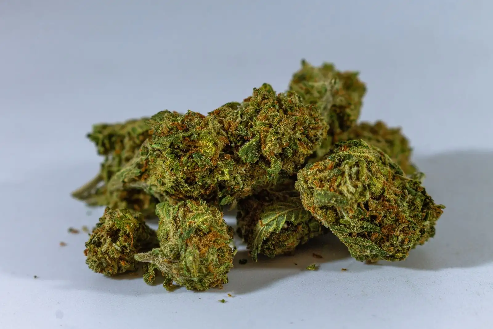 Mayorista de CBD en Francia: 5 controles antes de comprar