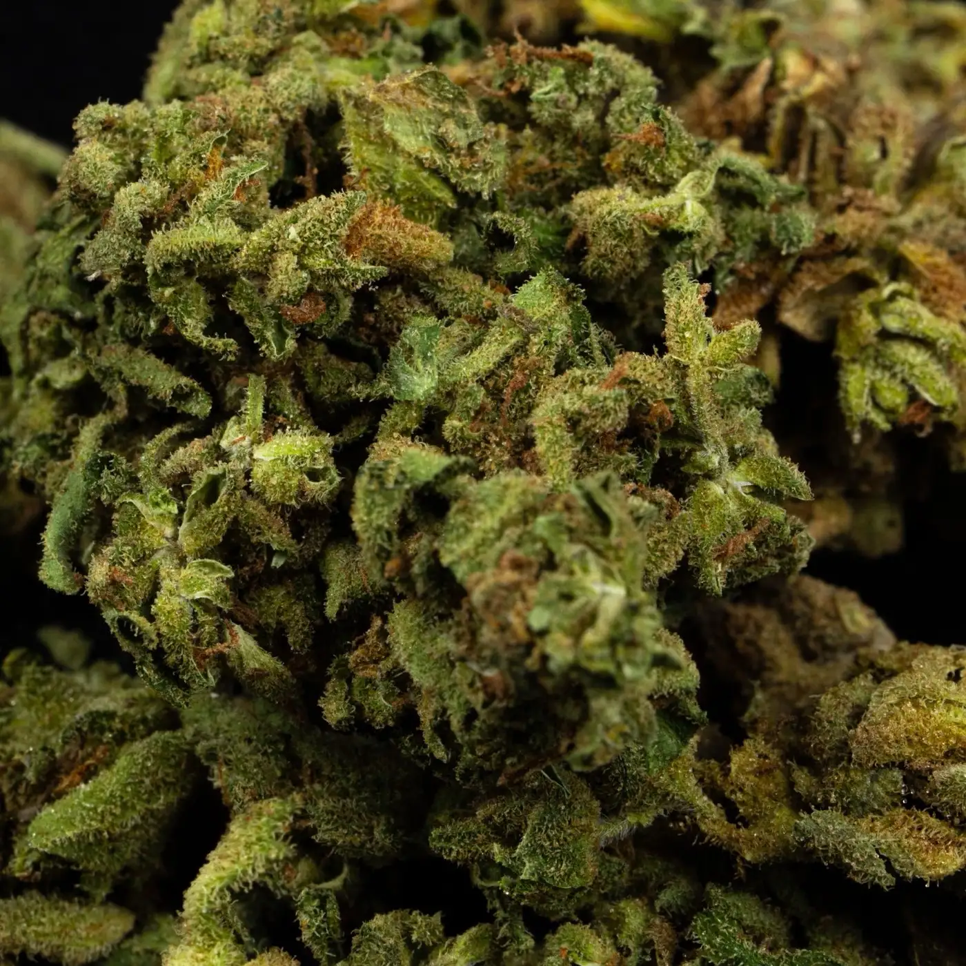 Hash CBD demasiado duro o blando: ablandarlo sin estropearlo