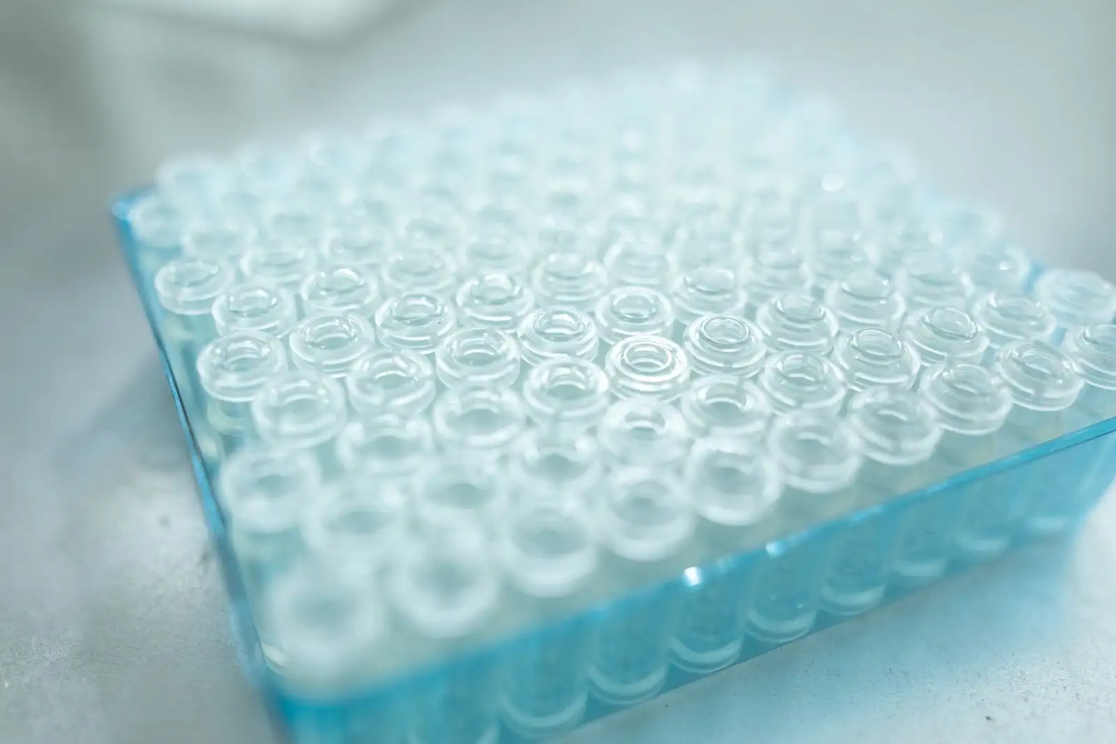 Gradilla azul llena de viales de vidrio vacíos en un laboratorio de análisis