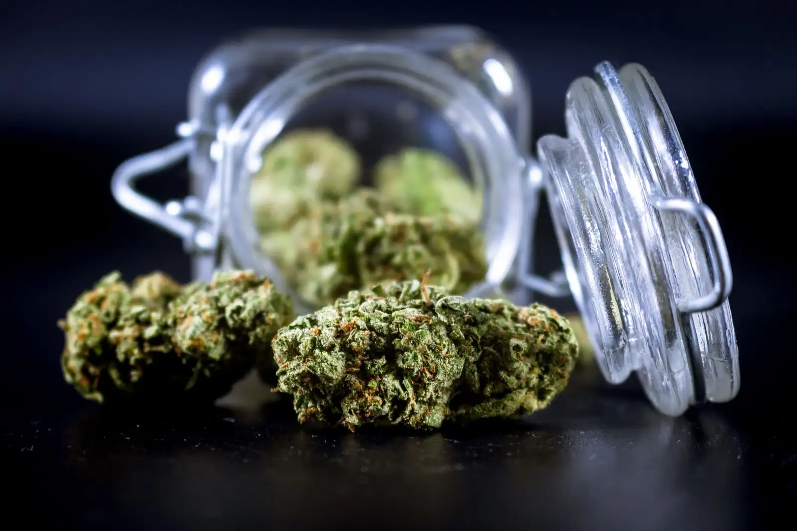 Kush CBD: 5 flores comparadas, del 6,9 al 13,5 % de CBD