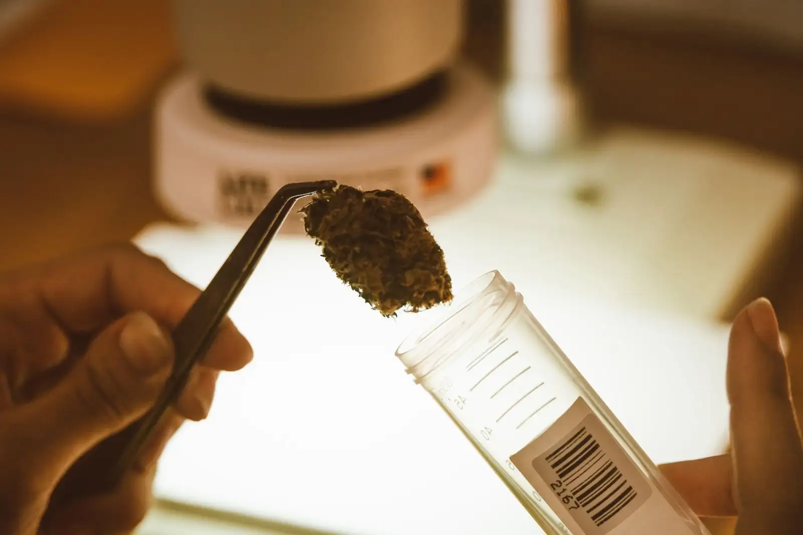 Live resin CBD: lo que cambia de verdad congelar la planta