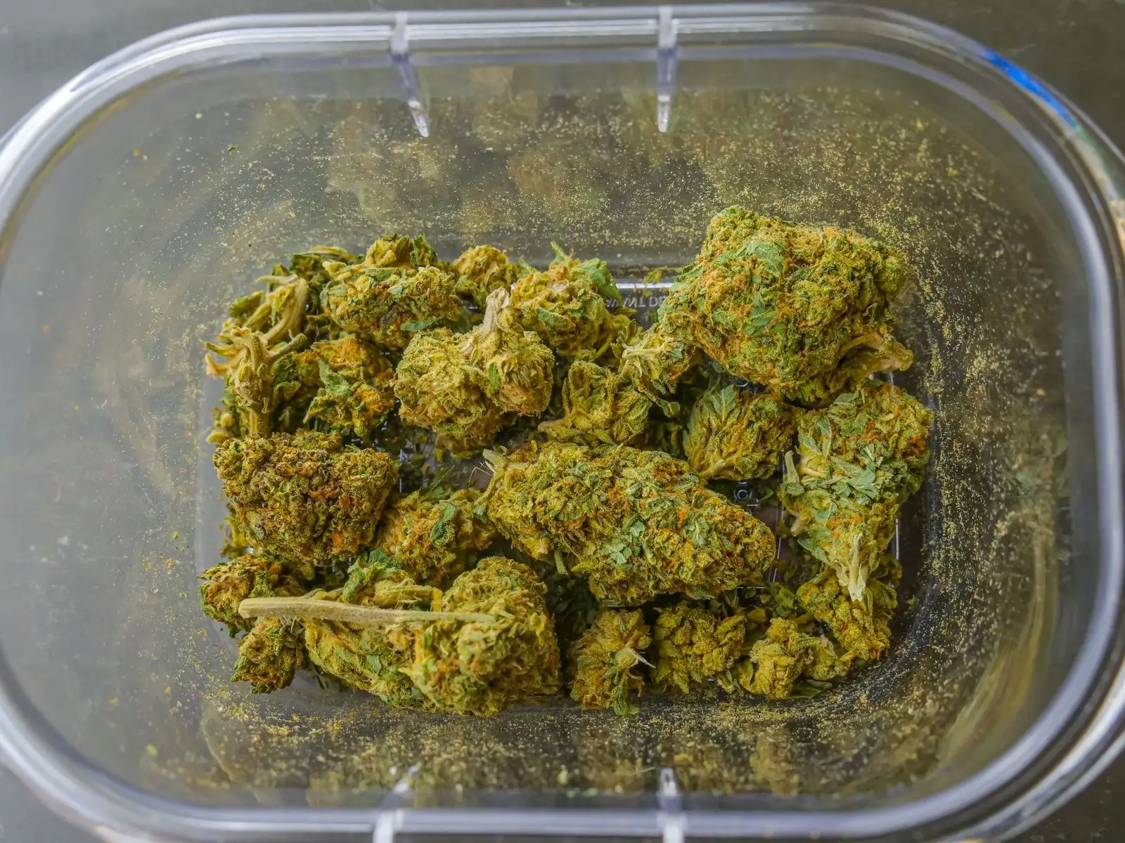 Flores de cáñamo secas en una caja transparente, vistas desde arriba, con un fino polvo de tricomas en las paredes