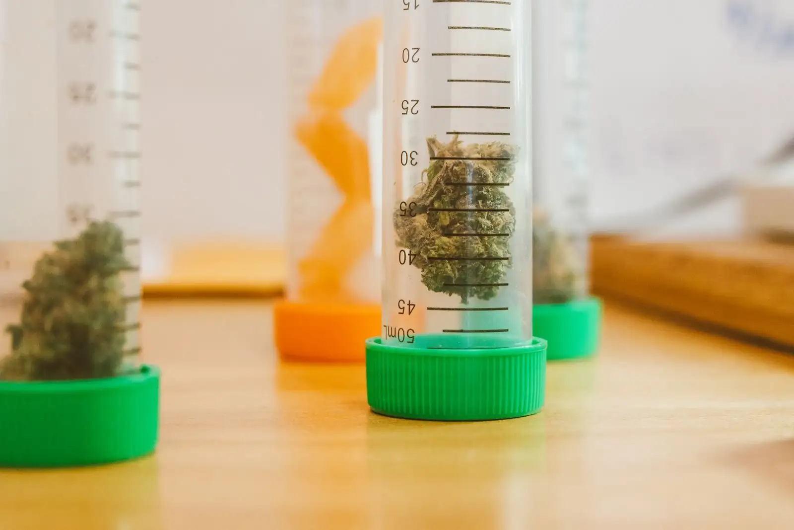 Precio del gramo de CBD en 2026 frente al cannabis