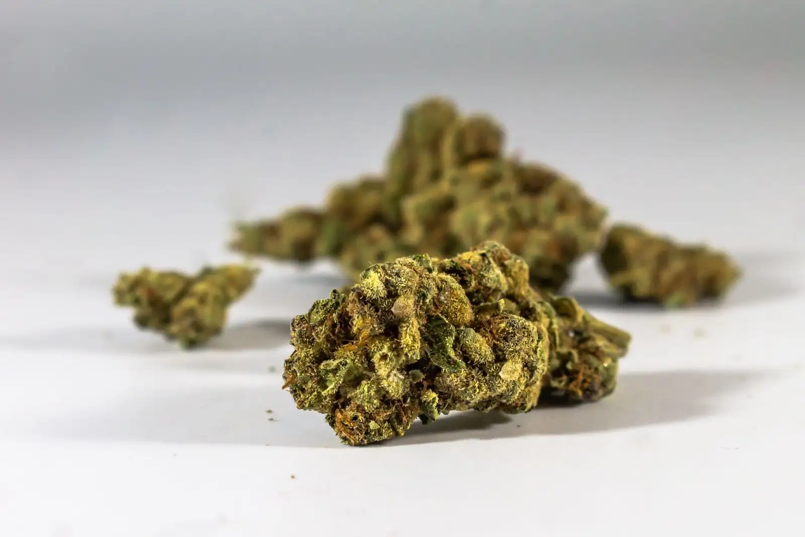 Small buds de CBD: qué valen las flores pequeñas y el trim