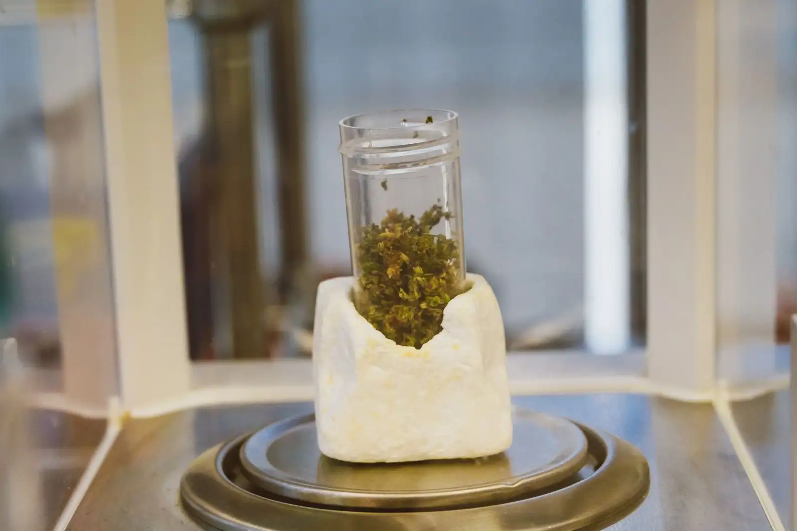 THC y CBD: las diferencias y el THC permitido en el CBD