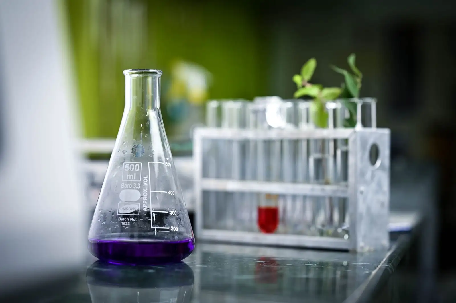 Matraz Erlenmeyer con un líquido violeta delante de una gradilla de tubos de ensayo, en un laboratorio