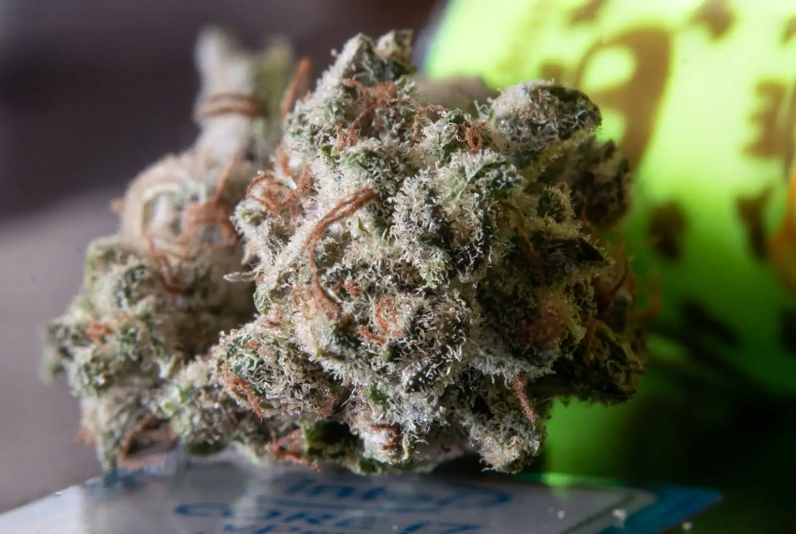 Lemon Haze CBD: origen, aroma y efectos secundarios
