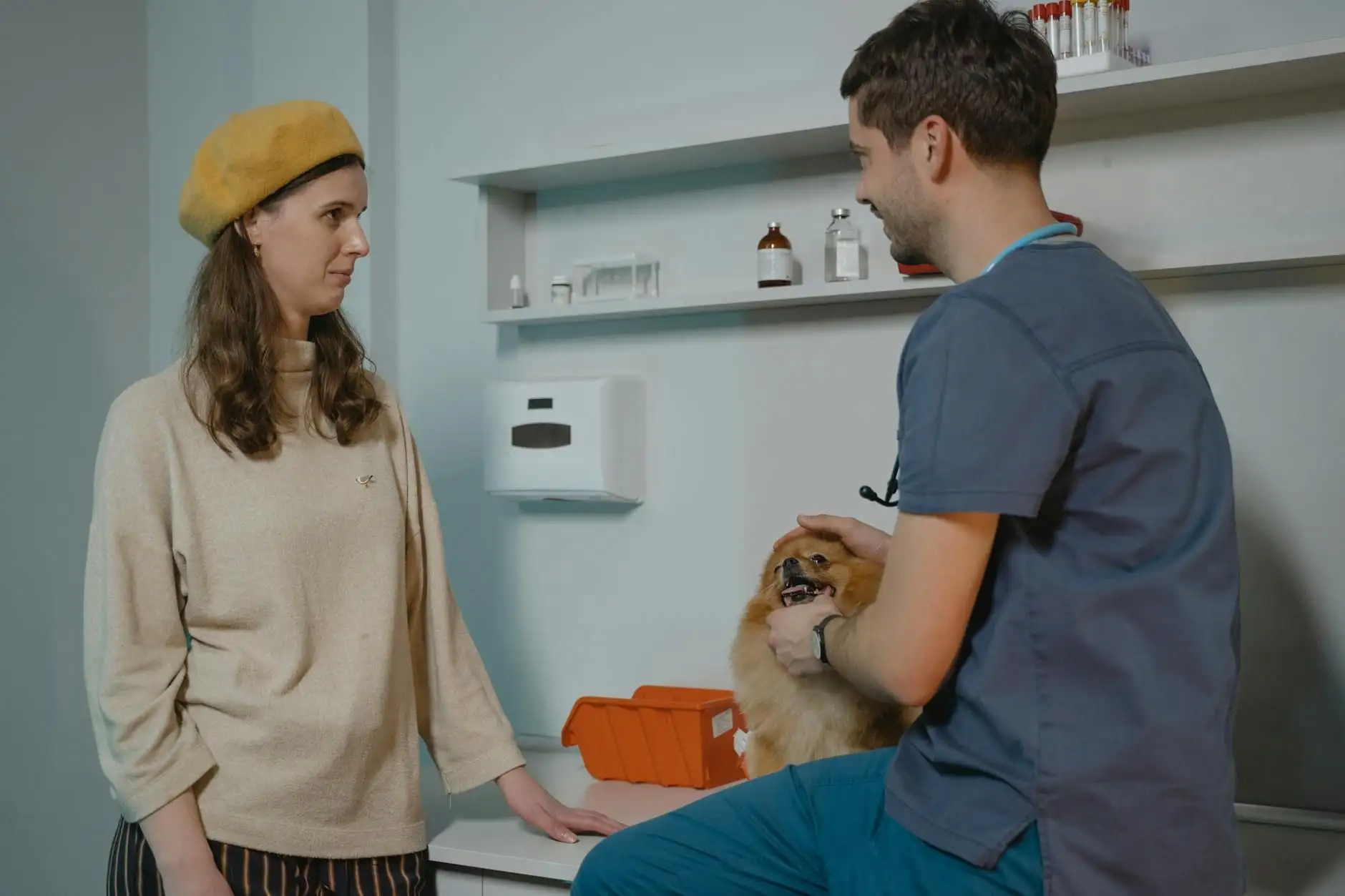CBD para perros: lo que dice el marco veterinario francés