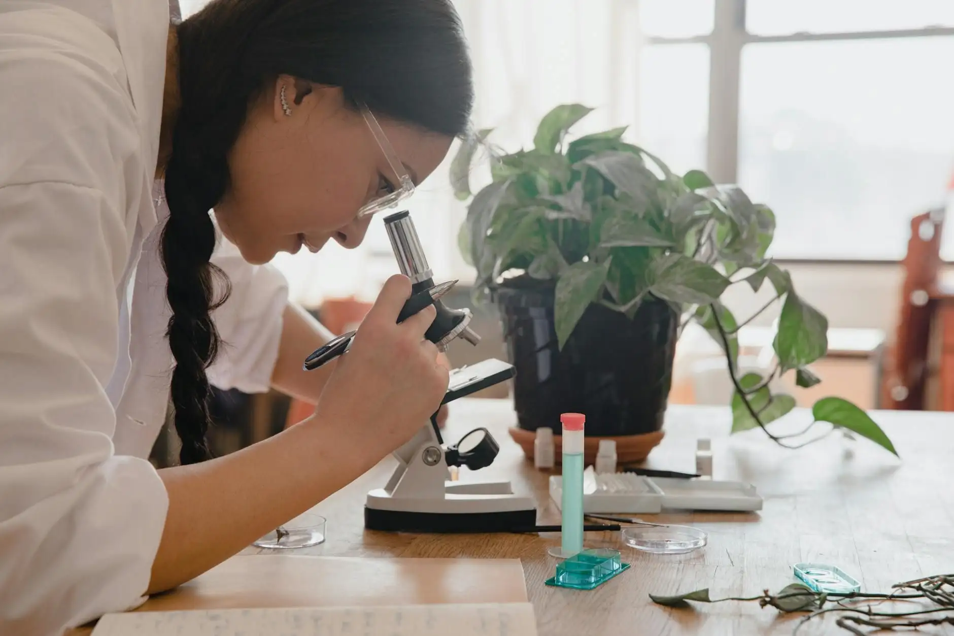 CBG (cannabigerol): definición sencilla de un cannabinoide minoritario