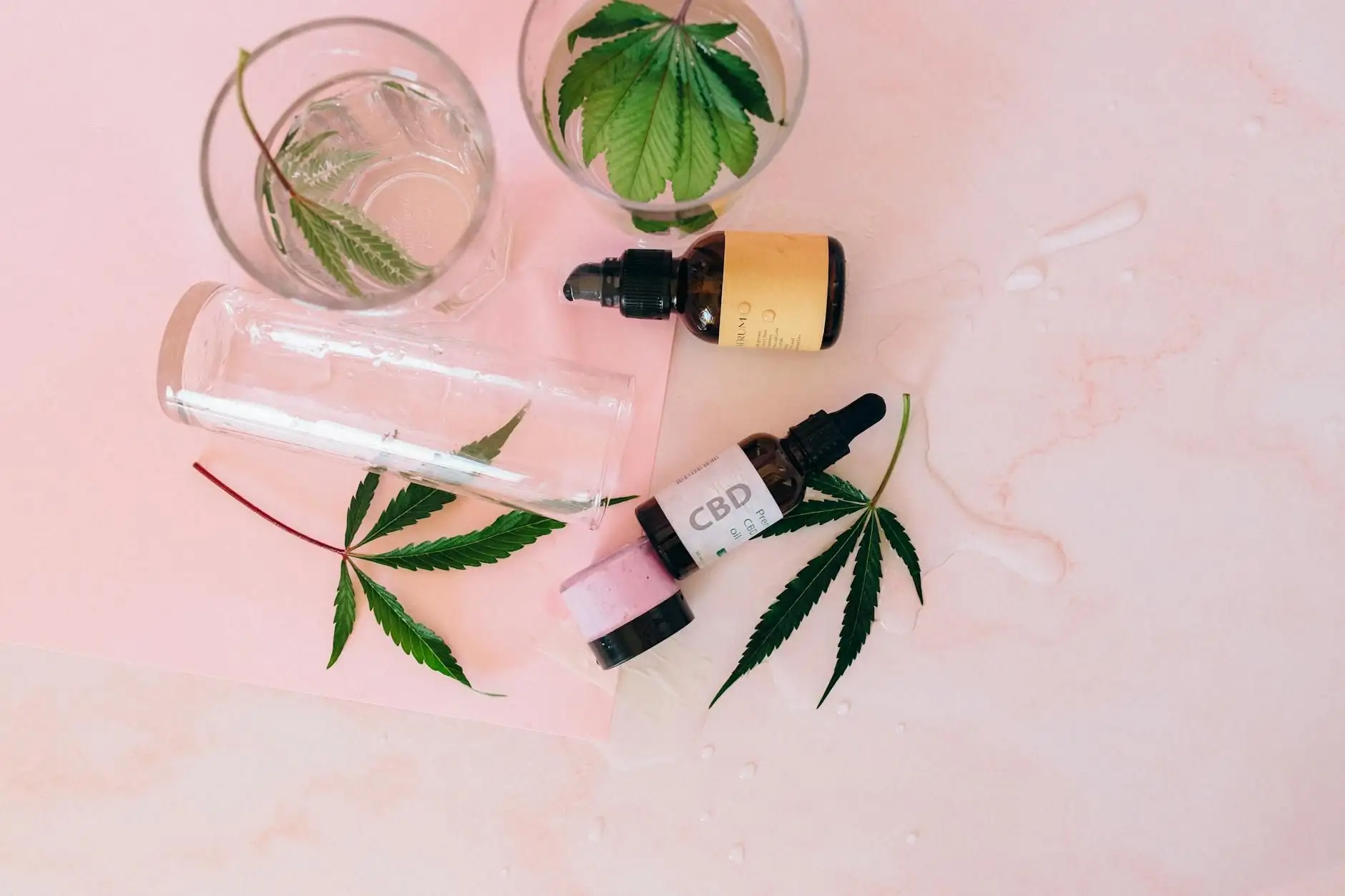 Usos declarados del aceite de CBD en Francia: lo que dice el mercado