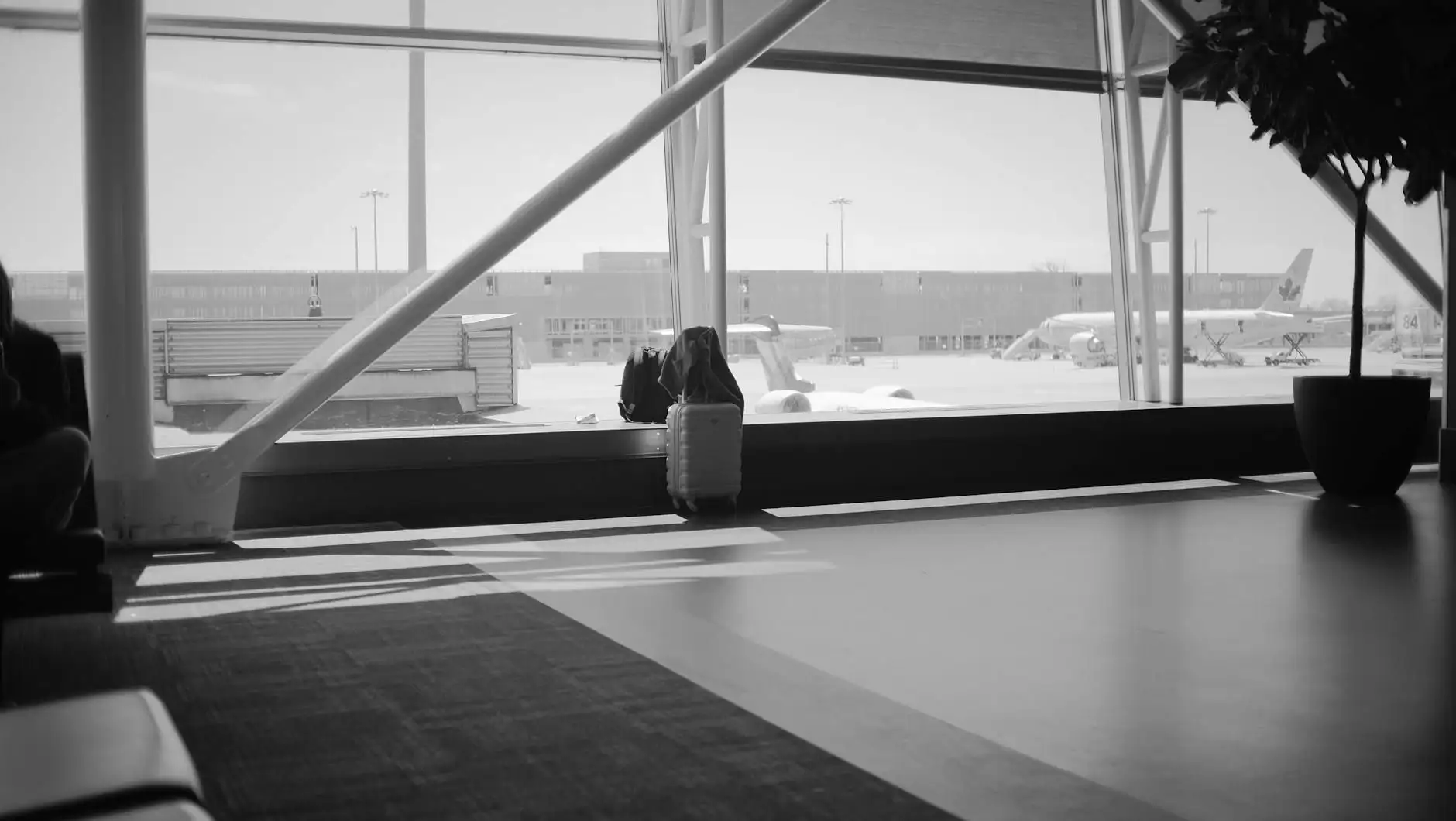 Viajar en avión con CBD: Francia, Europa, fuera de la UE