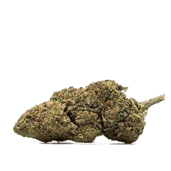 Cogollo de flor de CBD Runtz USA con reflejos violetas, fotografiado sobre fondo claro.