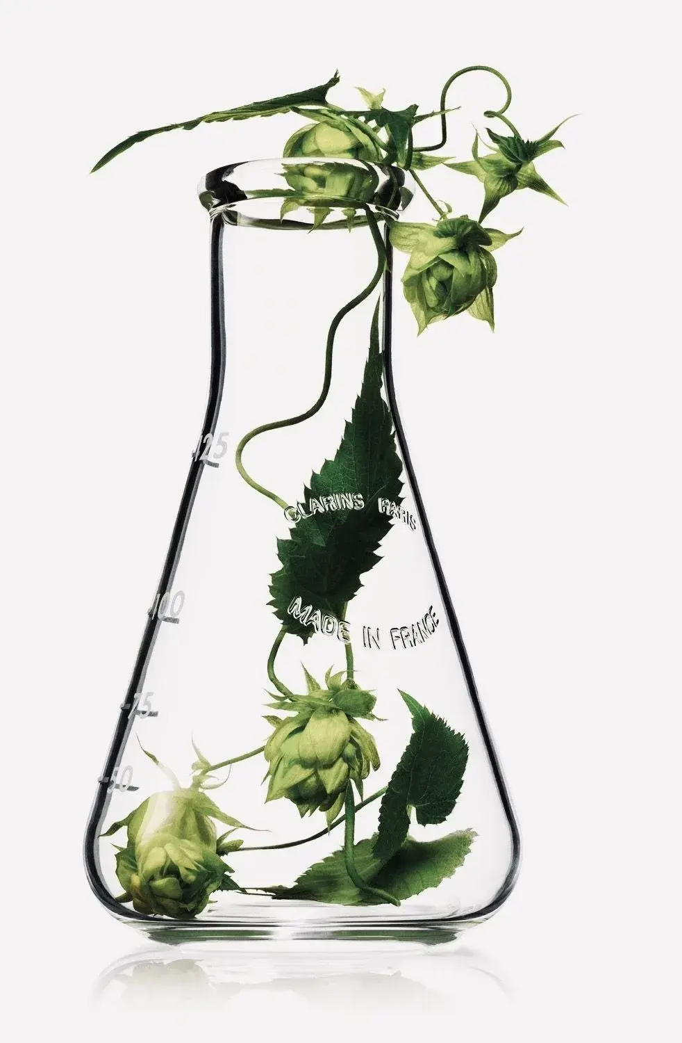 Detalle de material de vidrio, vaso de precipitados y espátula sobre un fondo de laboratorio