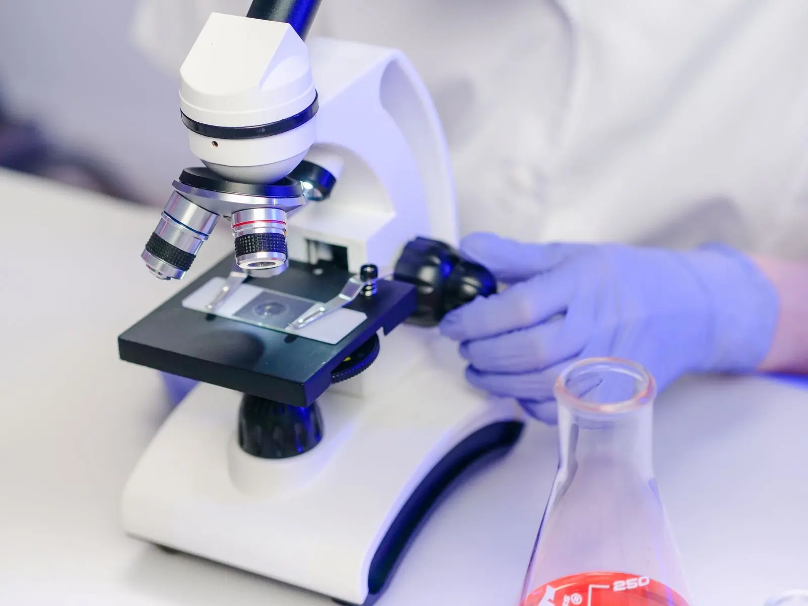 Manos con guantes ajustando un microscopio de laboratorio, con un matraz al lado
