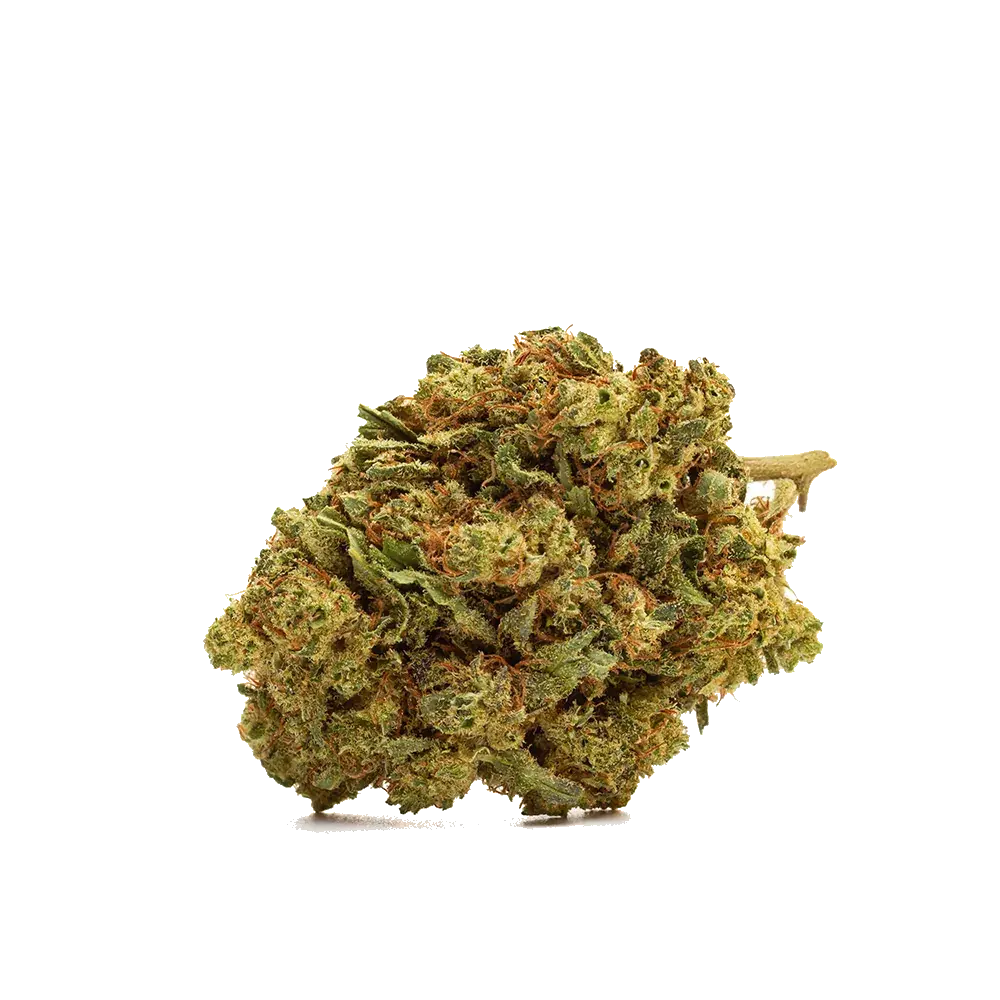 Cereal Milk - miniatura 2