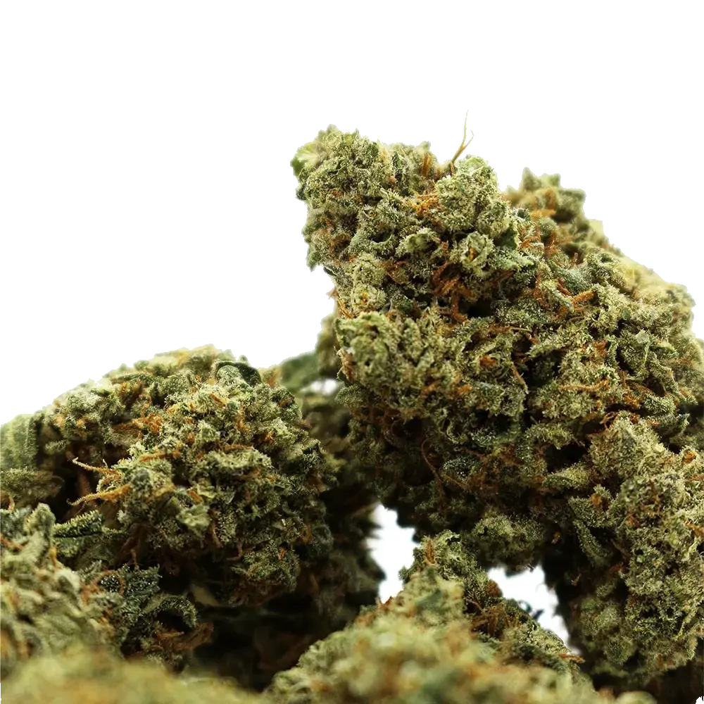 Green Crack - miniatura 4