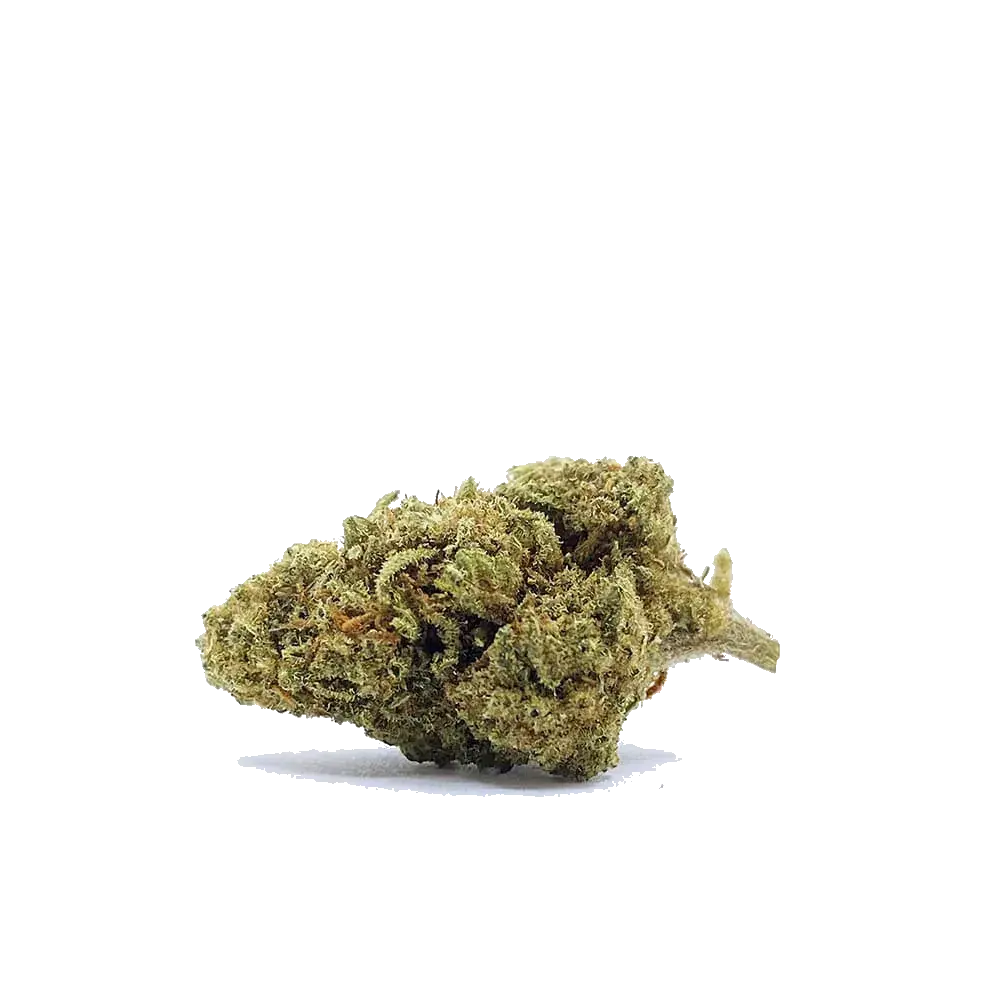 Hippie Shit - miniatura 3