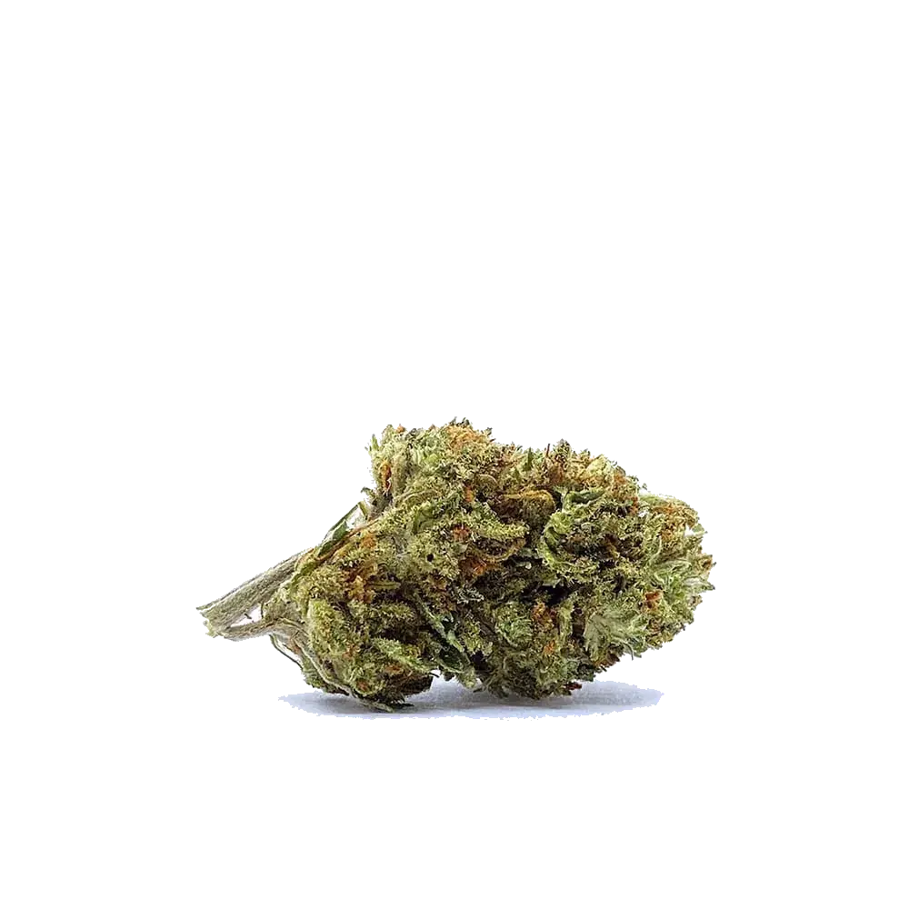 Hippie Shit - miniatura 5