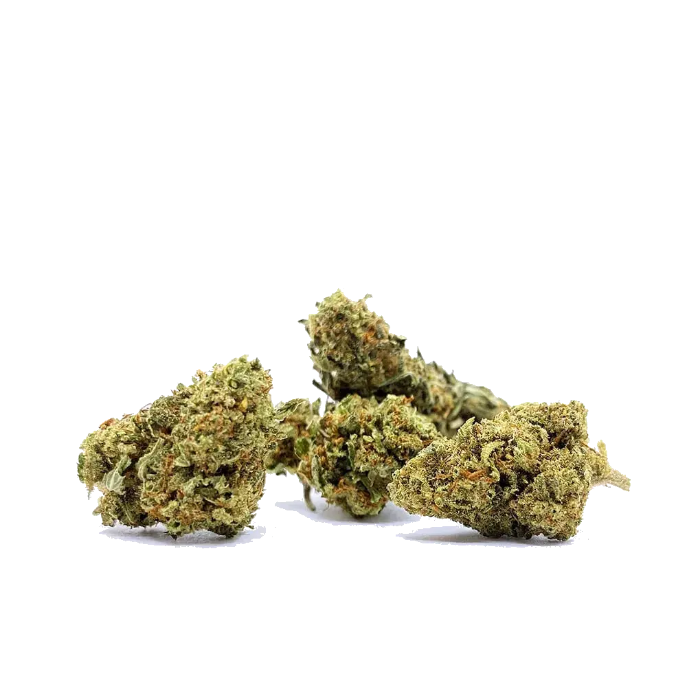 Hippie Shit - miniatura 4
