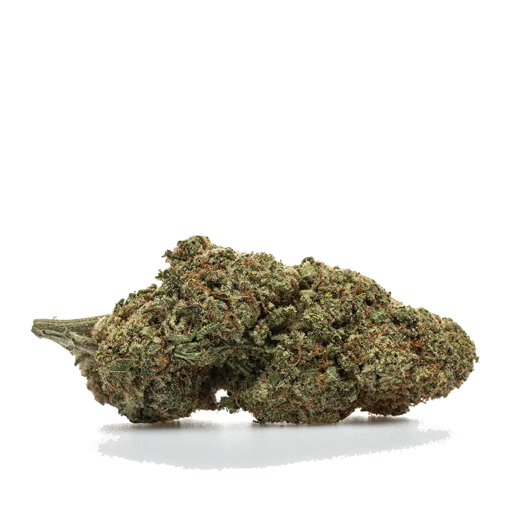 Alien Og - miniatura 2