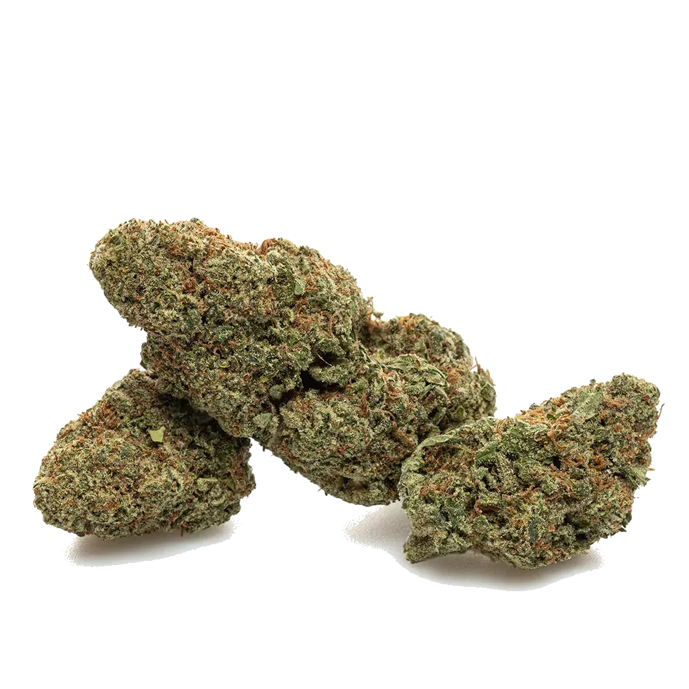 Alien Og - miniatura 3