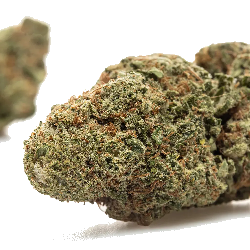 Alien Og - miniatura 4