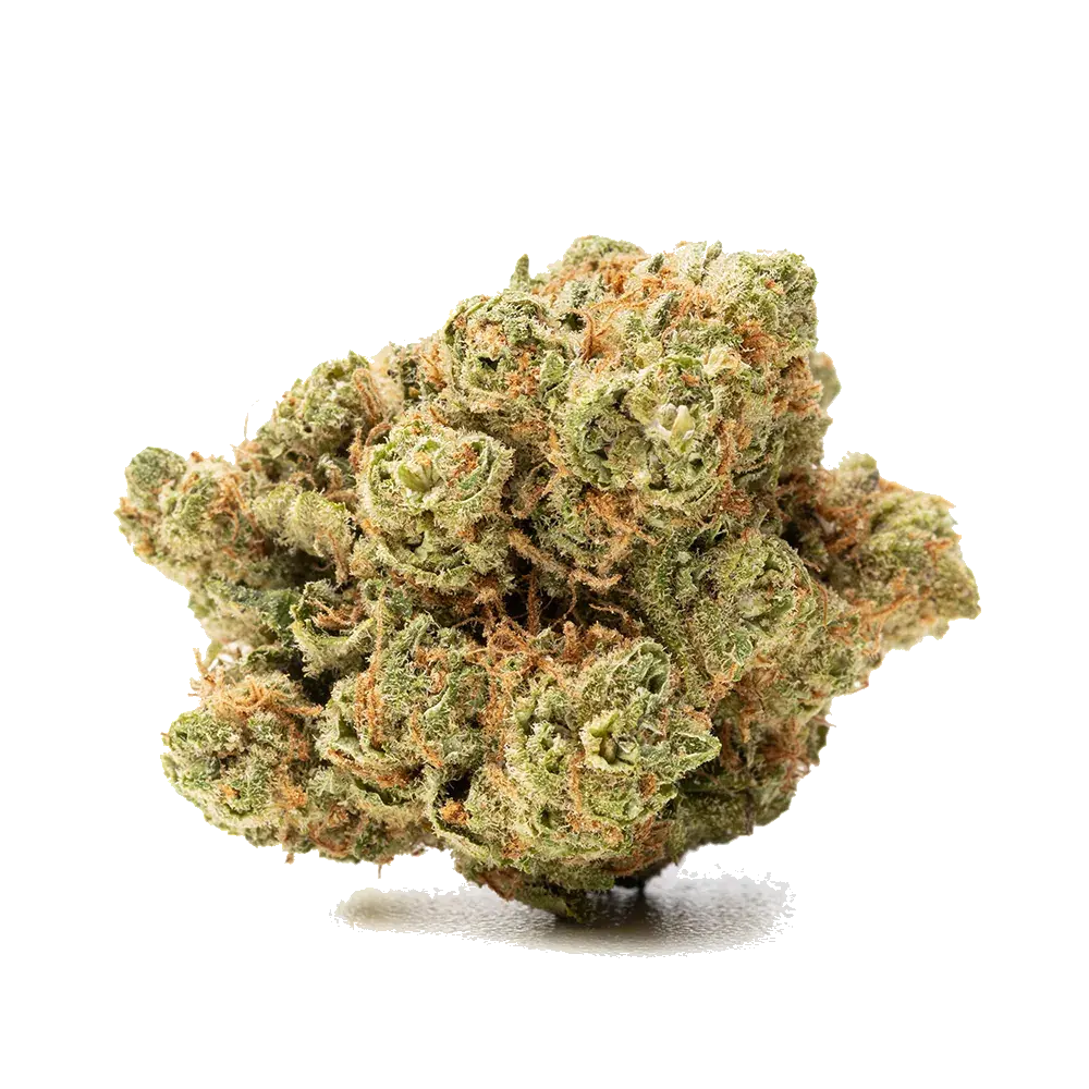Amnesia Haze - miniatura 4