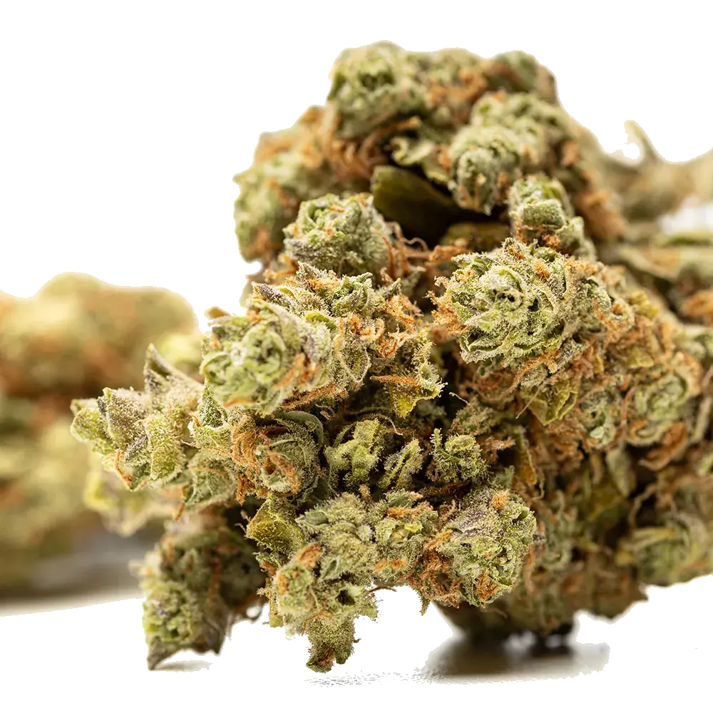 Amnesia Haze - miniatura 2