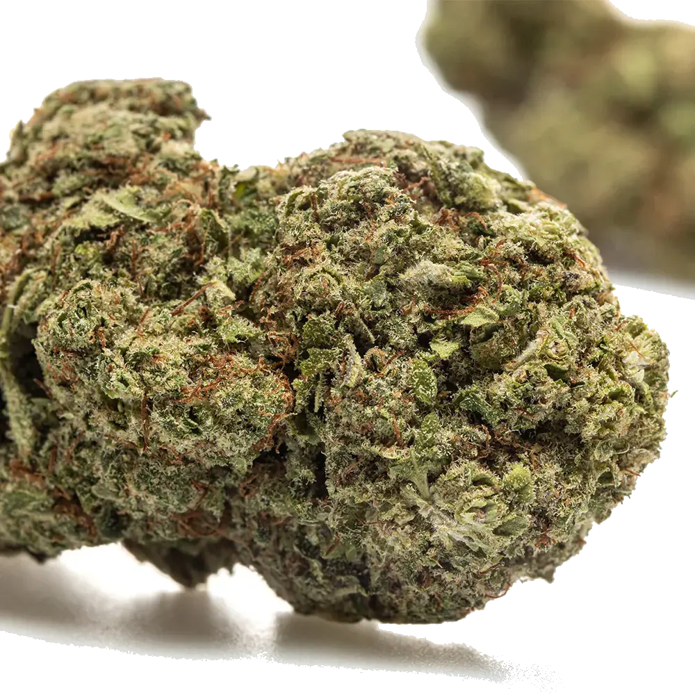 Bubble Gum Hydro - miniatura 3