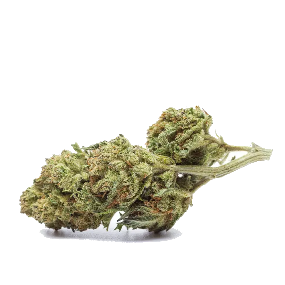 Durban Poison - miniatura 2