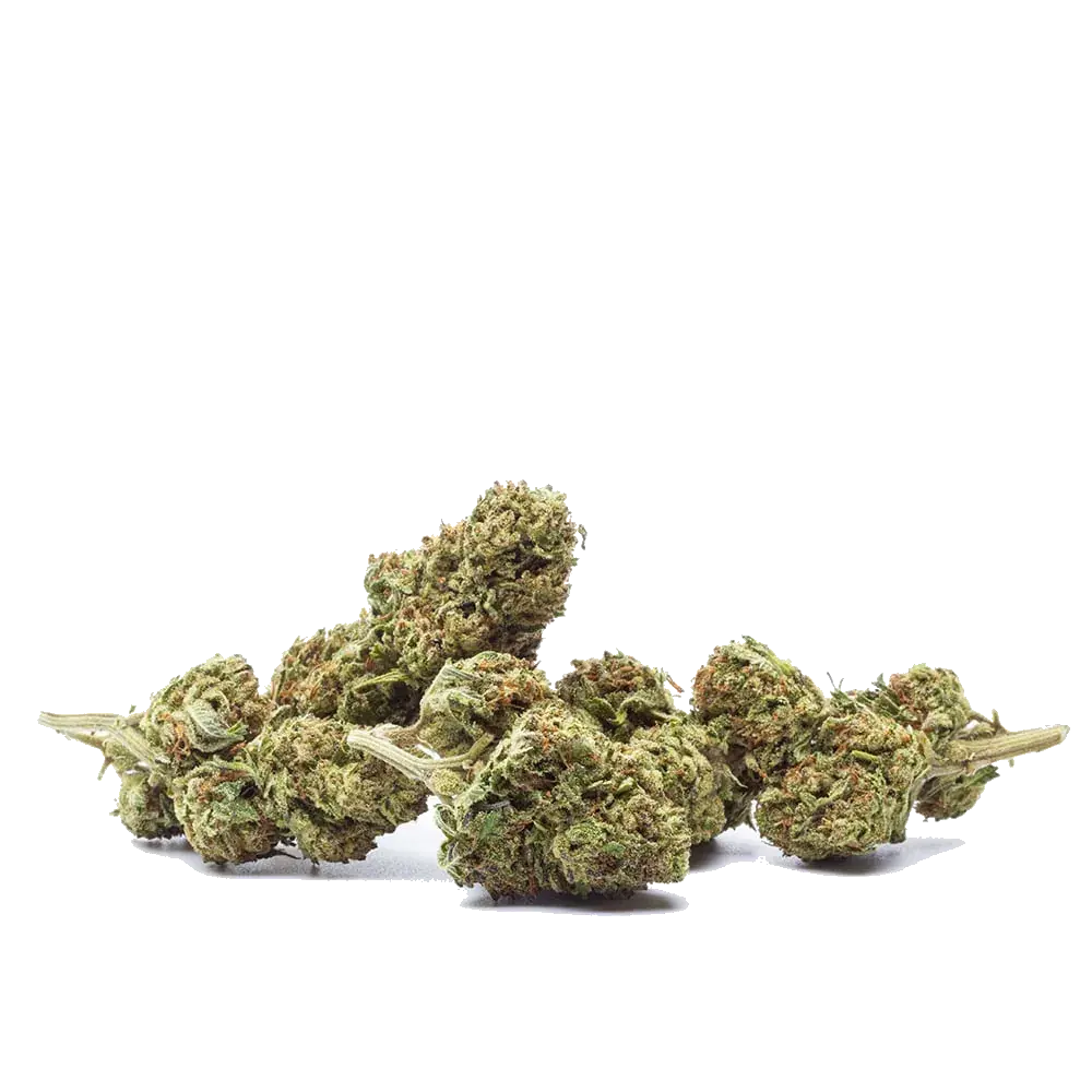 Durban Poison - miniatura 3