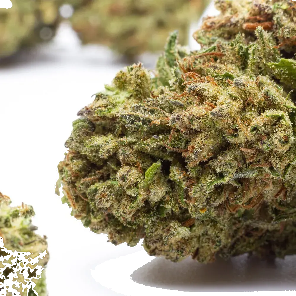 Durban Poison - miniatura 4