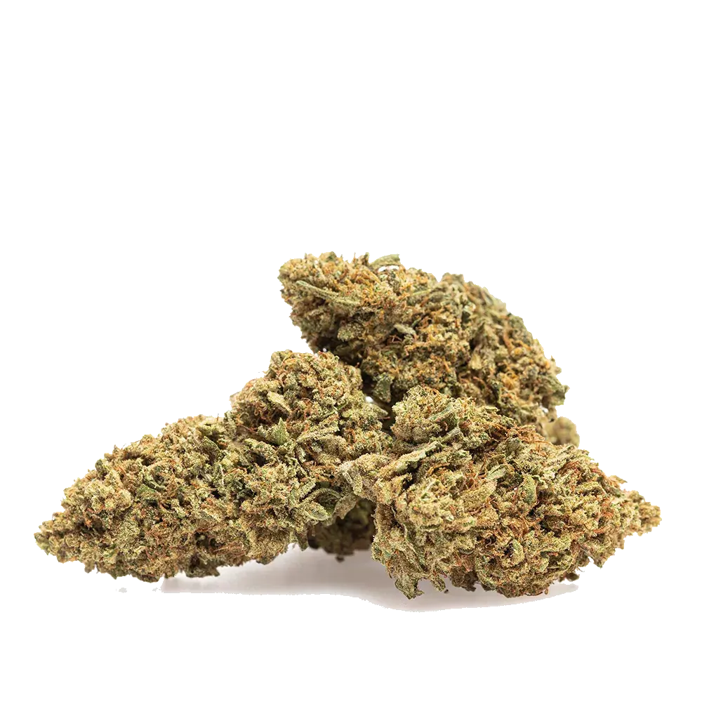 Guava Kush - miniatura 3