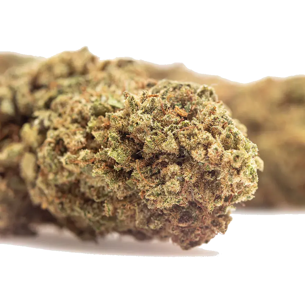 Guava Kush - miniatura 4