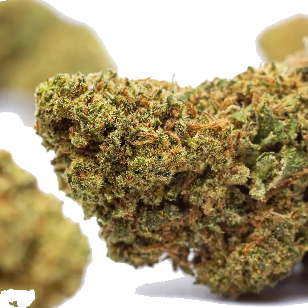 Confidential Weed - miniatura 4