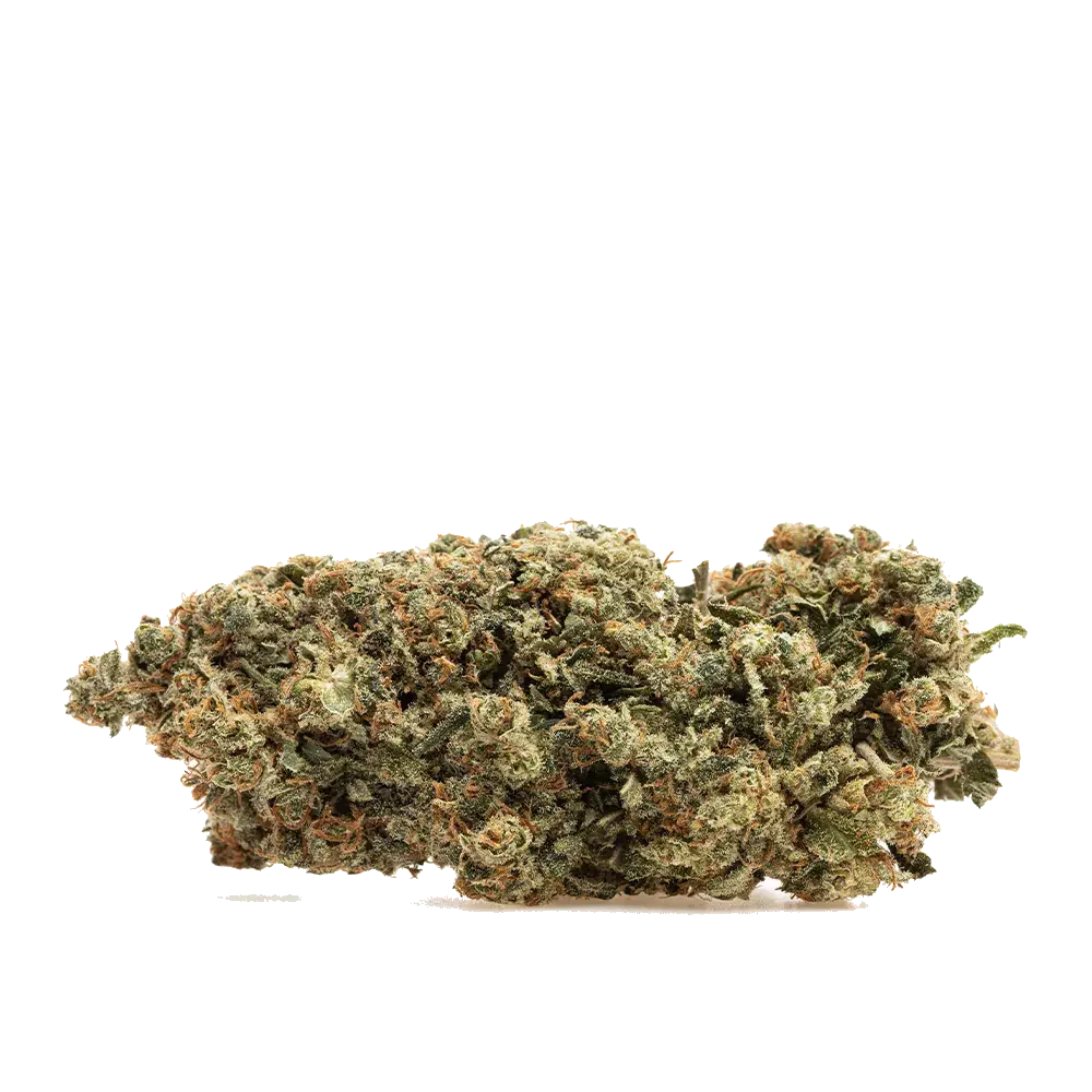 Lemon Cookies - miniatura 2