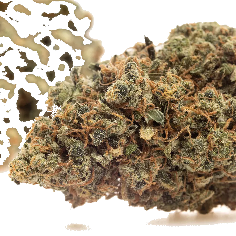 Lemon Cookies - miniatura 4