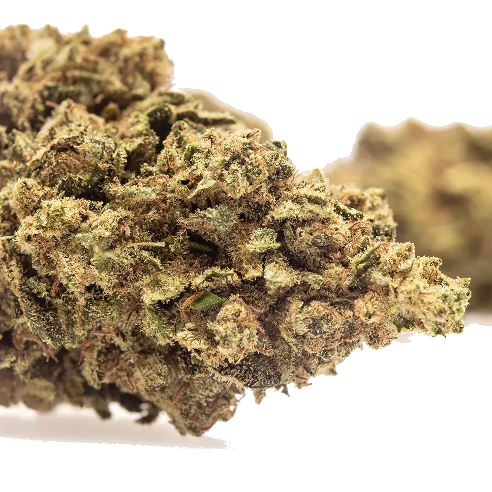 Lemon Kush - miniatura 4