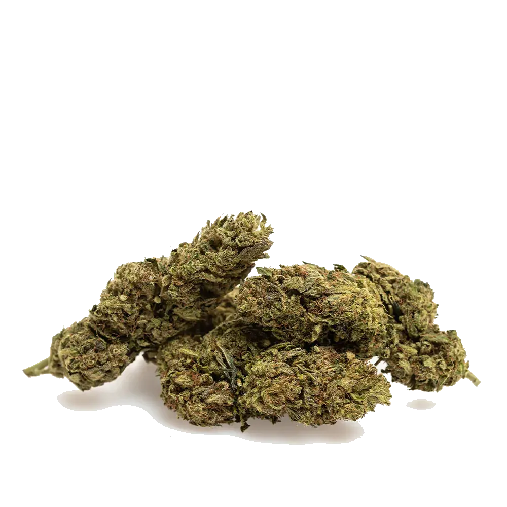 Lemon Zest - miniatura 3